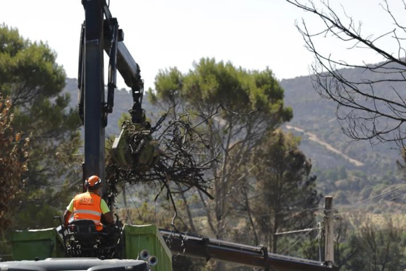 Operario forestal maneja una grúa que recoge restos de arbolado en un monte afectado por el incendio de la Sierra Oeste.